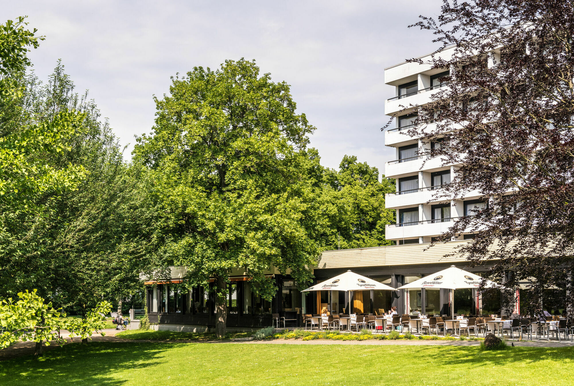 Dorint Parkhotel Bad Neuenahr Exteriör bild